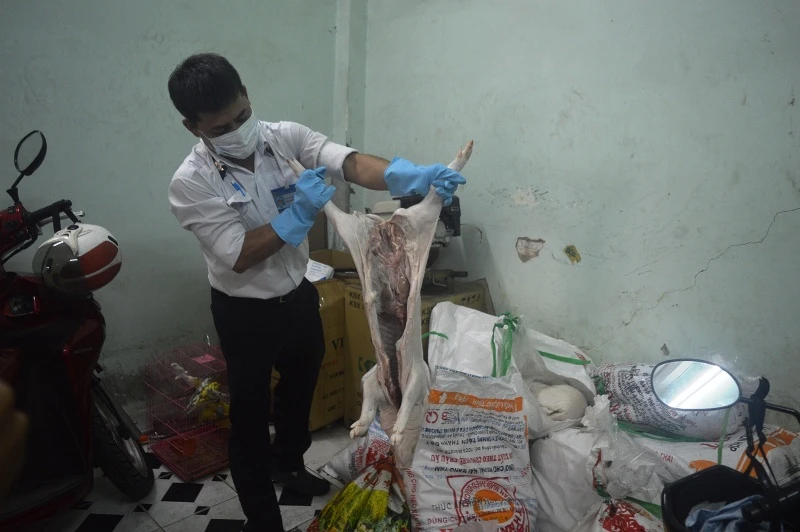 3 tạ heo sữa bẩn vượt hàng chục trạm kiểm dịch vào TP.HCM ảnh 1